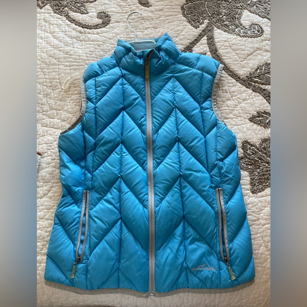Blue Vest